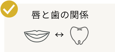唇と歯の関係