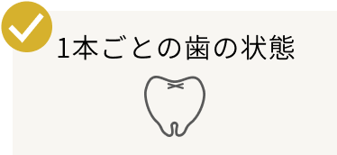 1本ごとの歯の状態