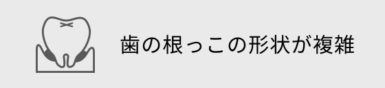 歯の根っこの形状が複雑
